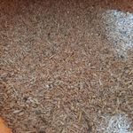 شرکت تعاونی کشاورزی دامداران بابلسر و حومه