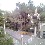 بوستان صبا