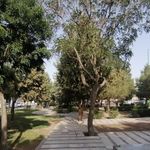 بوستان بیات