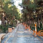 بوستان صبا