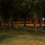 پارک آزادگان