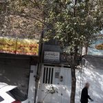 دکتر امیر  مسعود مسعودی
