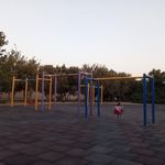 بوستان زیتون