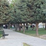 بوستان بیات