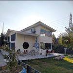 کافه عربی امید