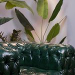 سیف استودیو