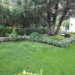 بوستان عناب