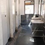 سرویس بهداشتی بوستان شقایق