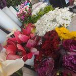 گلفروشی گلستان بهار