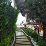 بوستان عناب