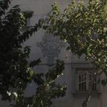 دفتر وکالت امیر کاهه و مینا طیبی