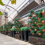 مجموعه رستوران های پلاتین