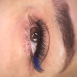 خدمات مژه ماهی مون