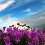 روستای زناسوج