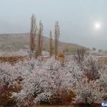 روستای زناسوج