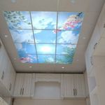 مجتبی نوروزیان سالکویه