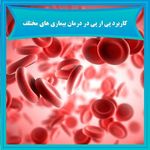 کلینیک دکتر سلمان فلاح