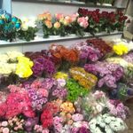 گل فروشی آسیا