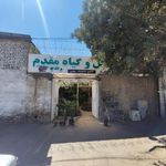 گل آپارتمانی مقدم