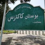 بوستان کاکتوس