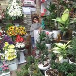گل فروشی آسیا