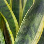 کلینیک پوست مو لیزر و لاغری عصر زیبایی