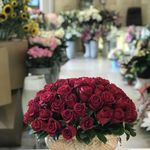 گل فروشی سیکاس
