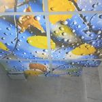 مجتبی نوروزیان سالکویه