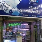 ری آکواریوم