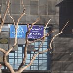 ماسه نقره ای