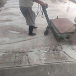 قالیشویی صنوبر