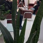 کلینیک پوست،مو،زیبایی و لیزر دالیا