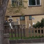 سرویس بهداشتی