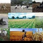 فروشگاه خاک و کود و سموم کشاورزی گلستان