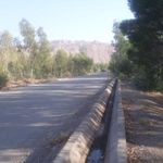 پارک جنگلی دکتر کردوانی