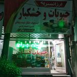 پخش برنج عنبربو شوشتر