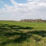 مدرسه‌ غزاویه بزرگ