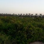 مدرسه‌ غزاویه بزرگ