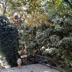 اقامتگاه بوم گردی حاج مختار زارع
