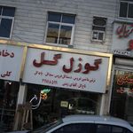 گوزل گل