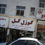 گوزل گل