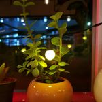 کافه کتاب نگاتیو