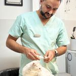 کلینیک دامپزشکی دکتر حمید داودی نیا