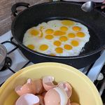 بوم گردی