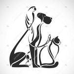 کلینیک دامپزشکی ماوی شیراز