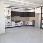 کارشناس ملک ((محمد بهمن))