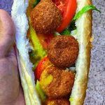 فلافلی تیام