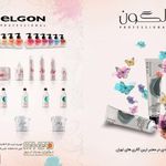 نوآوران مهباد امروز
