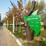 سرویس بهداشتی بوستان بیهقی