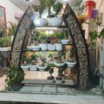 گل وزرا